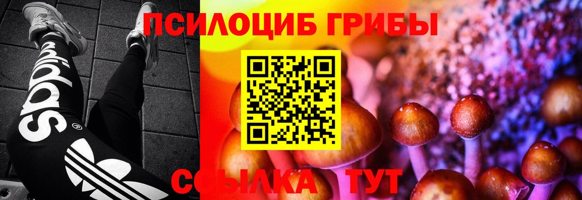 Псилоцибиновые грибы Magic Shrooms  Псилоцибиновые грибы Cubensis  Вход с VPN  Каменск-Шахтинский 